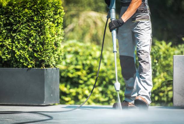 Best Deck and Patio Pressure Washing in Arnold Line, MS